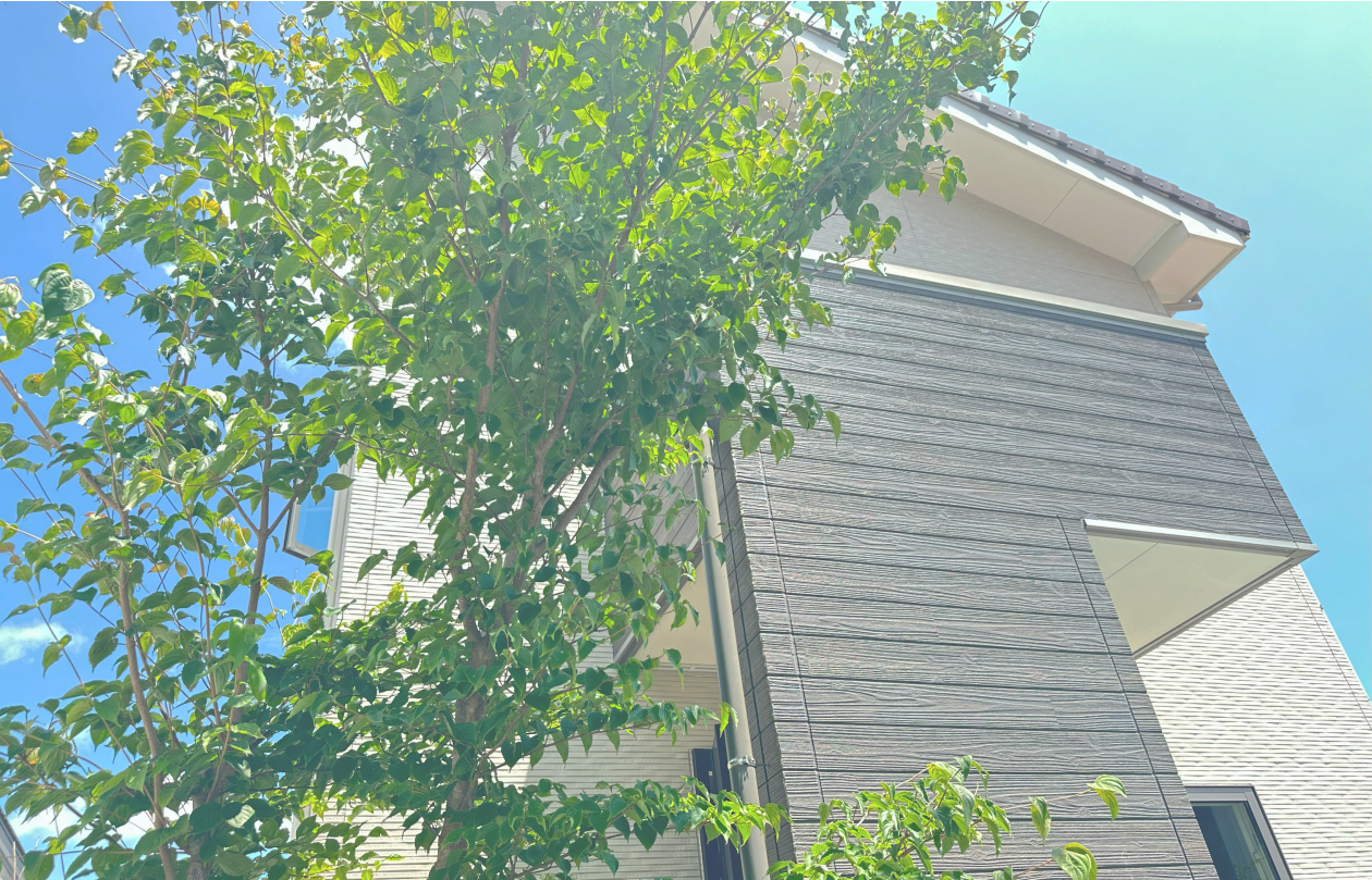 サロンについて